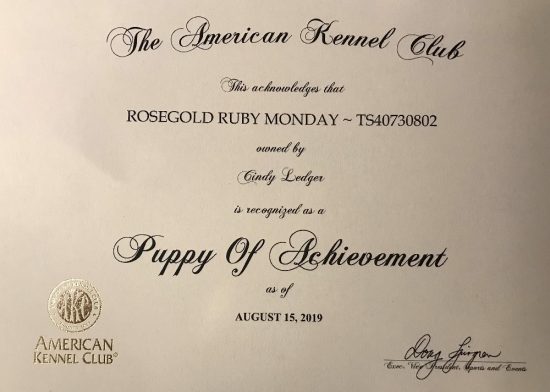 AKC Ruby Puppy Achievement Cert August 15 2019
